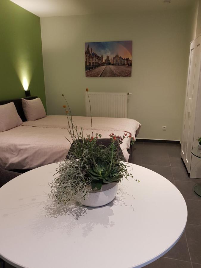 Touristflat Dewulf Ghent